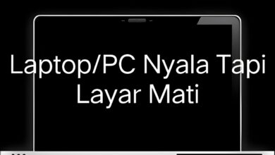 penyebab laptop atau pc nyala tapi layar mati